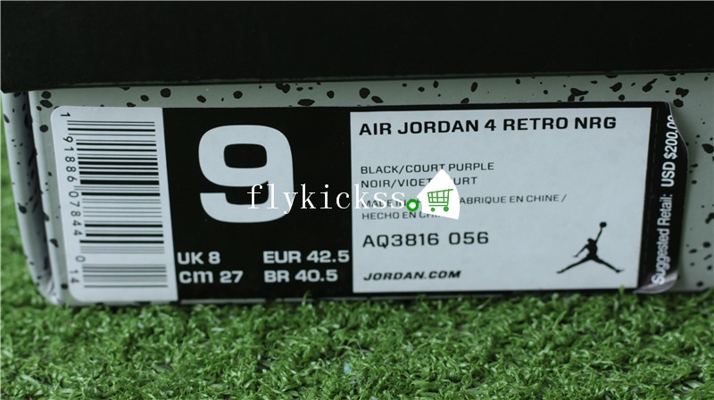 Air Jordan 4 Retro NRG Raptors Signature Version